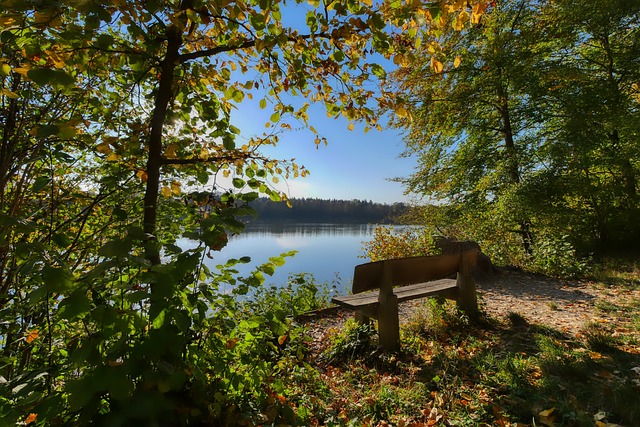 的執教哲學 的執教哲學