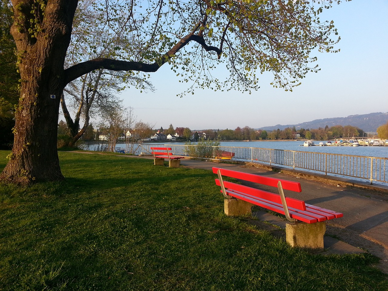 灵活的中场 灵活的中场