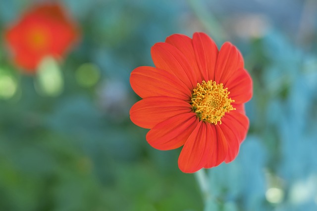 保持積極心 保持積極心