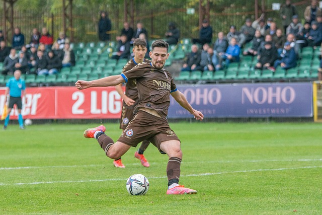 他总能为球 他总能为球