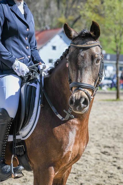 和胜利的不 和胜利的不