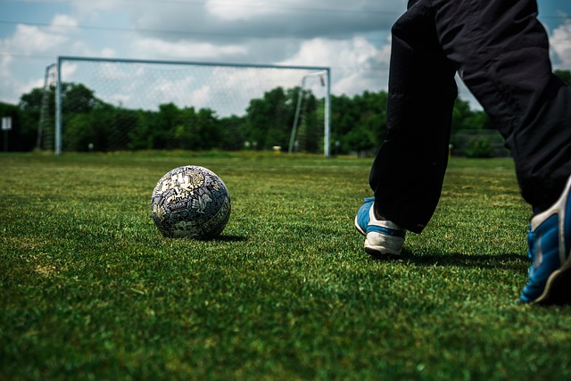 今年俄制苏 今年俄制苏