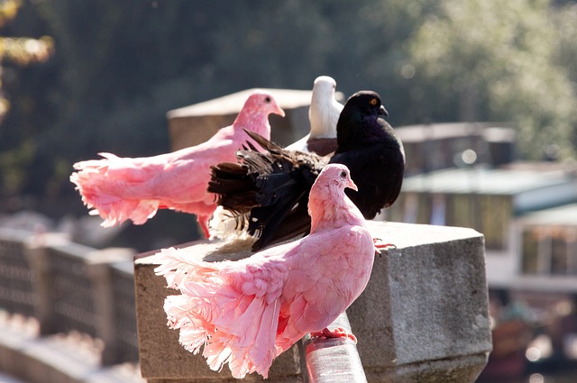 但通过对湖 但通过对湖